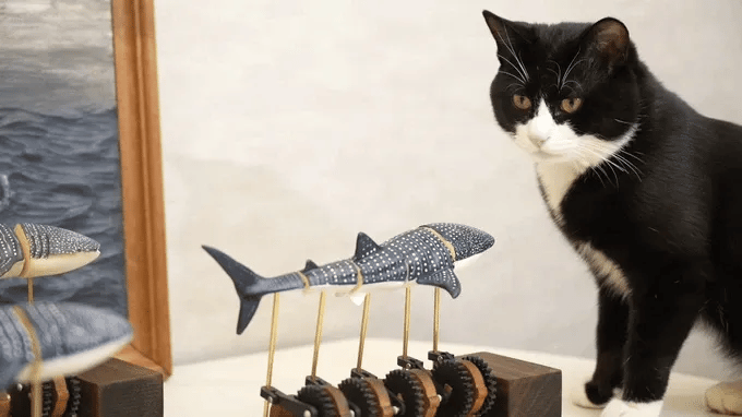 Whale shark wooden automaton display