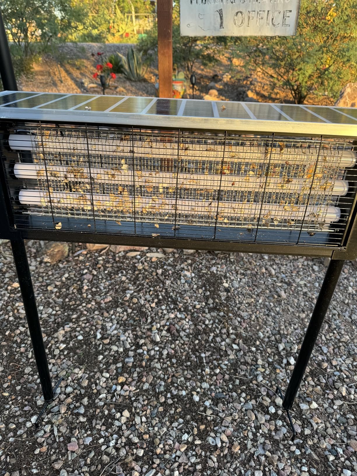Great bug zapper! Great bug zapper!