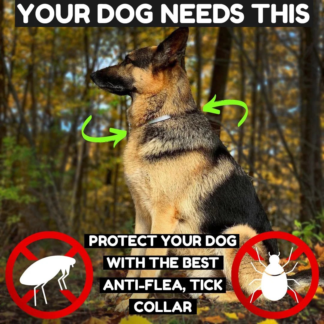 🐶The BIOCOLLAR (ADVANCED PROTECTION) BUY 1 GET 1 FREE😺