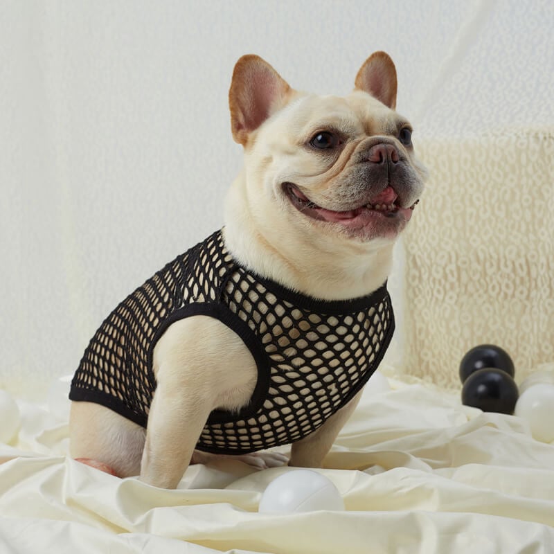 Cutout Mesh Dog Vest Integrityk