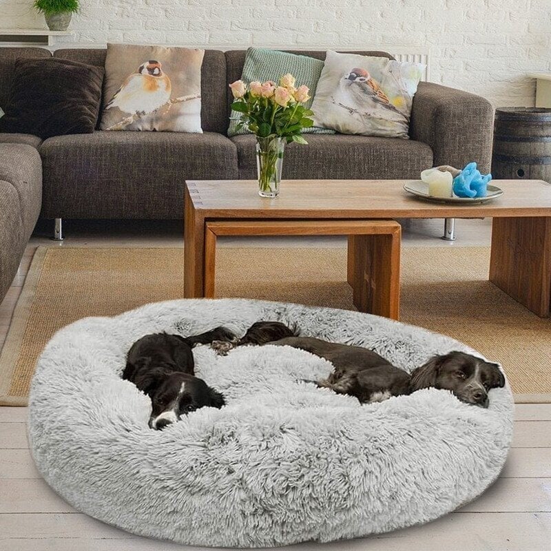 Comfy Calming Dog/Cat Bed