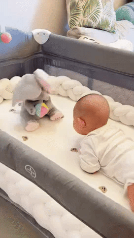 Interactive peek-a-boo elephant plush toy