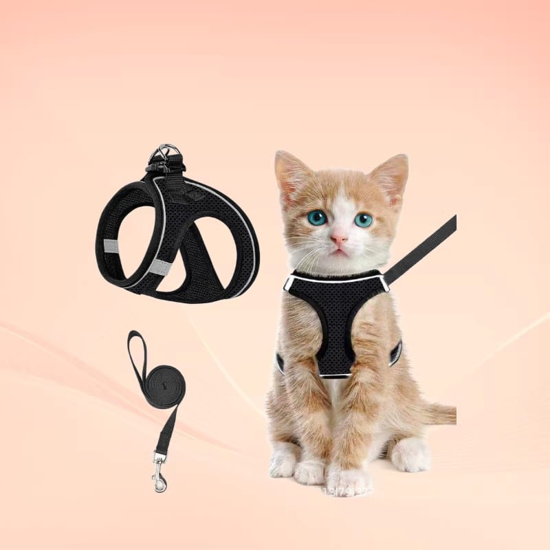 😺Katzengeschirr und Leine, um ein Entkommen zu verhindern