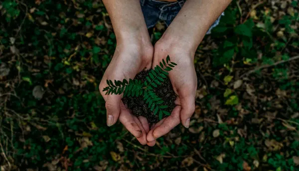 Ethical Botanical Sourcing