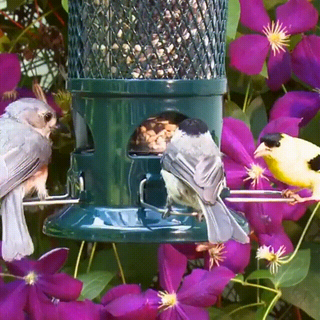 Want to keep seeds fresh longer with better airflow?