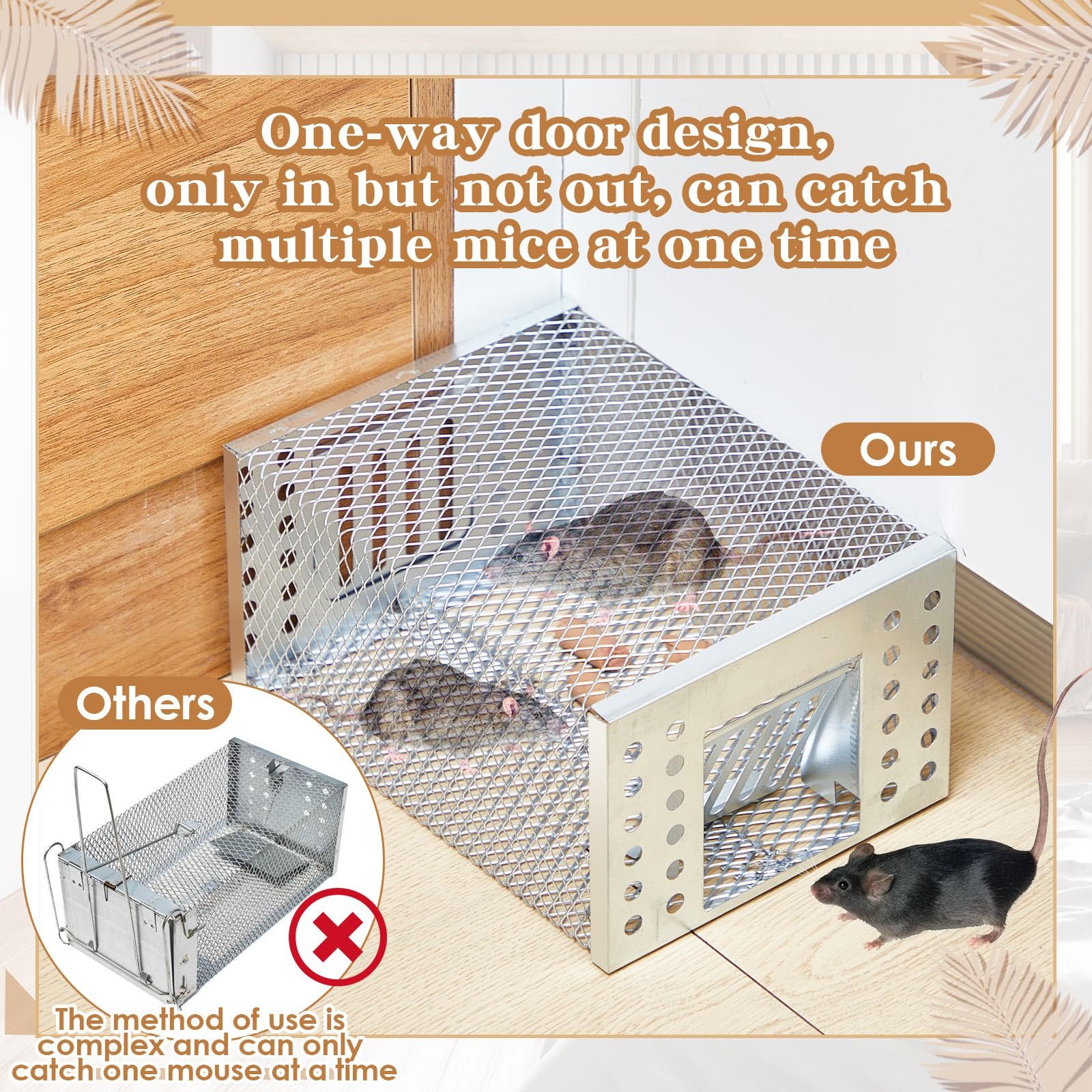 Close-up of the trap showing one-way door design and multiple mice caught inside