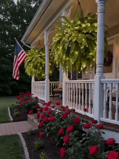 Artificial Boston Fern