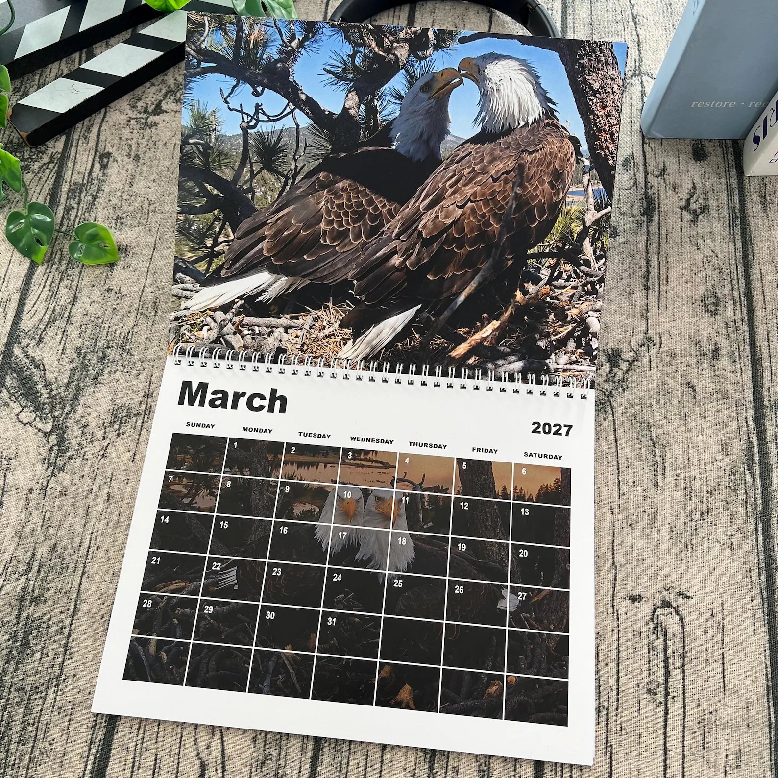 March 2027 bald eagle calendar