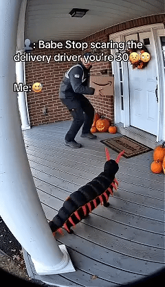 Pet wearing funny creepy crawling centipede costume animation