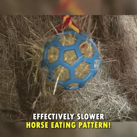 Horse Treat Ball Horse Treat Ball