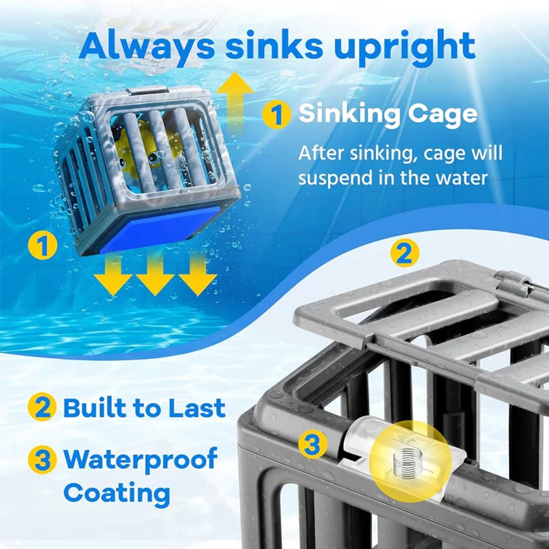 Stands Upright Underwater