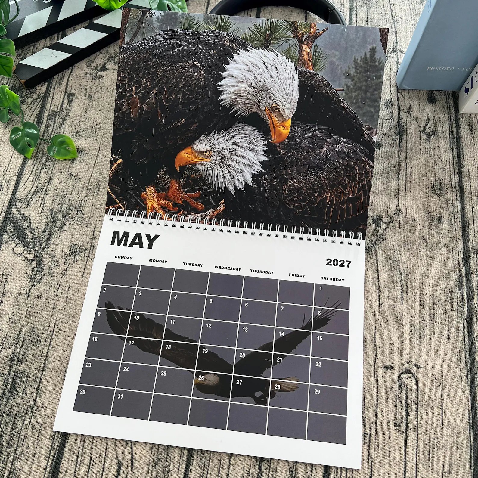May 2027 bald eagle calendar