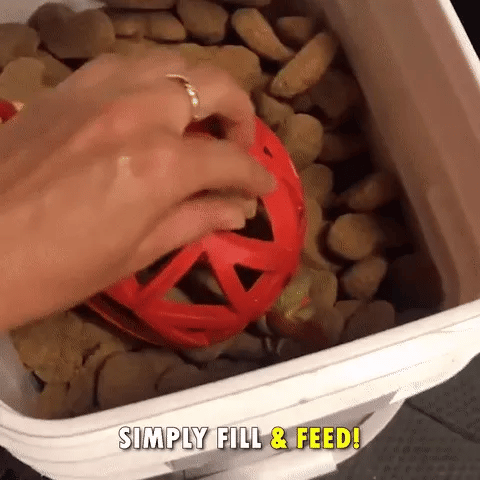 Horse Treat Ball Horse Treat Ball