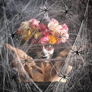 spider webs