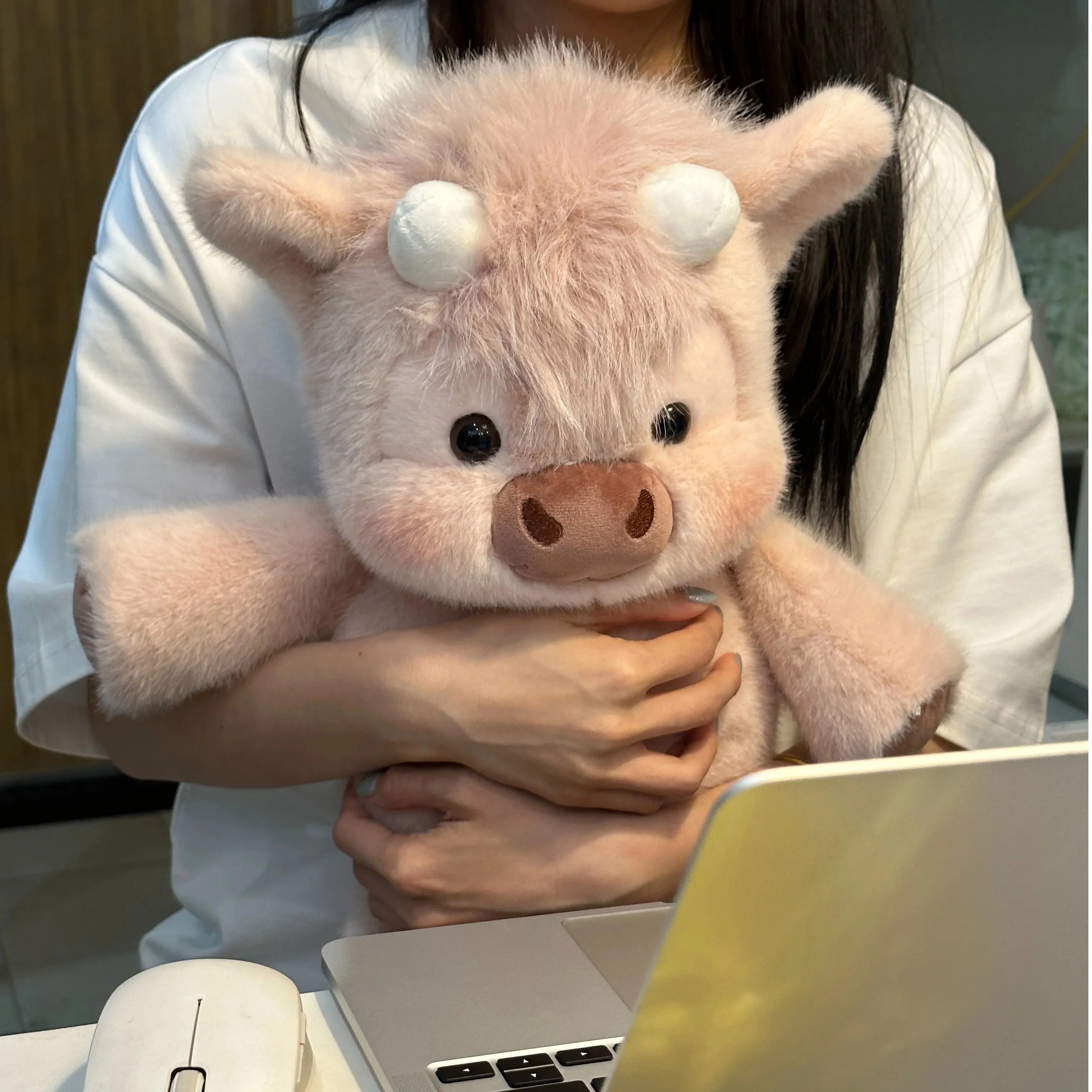 Pink Pig
