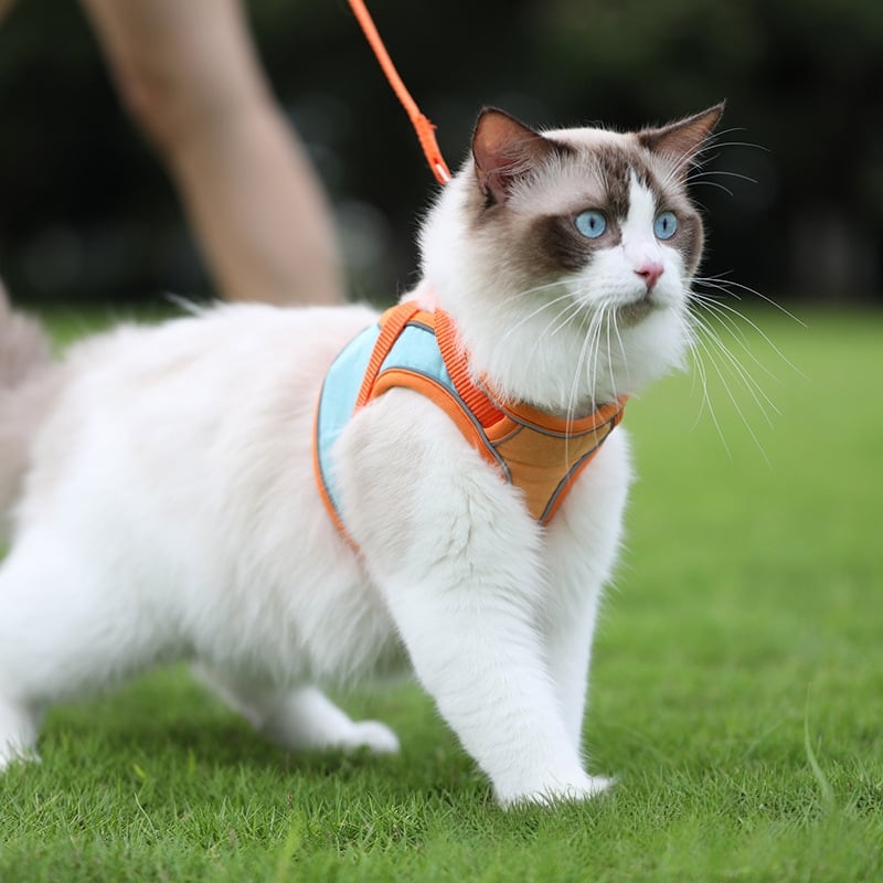 Escape-Proof Reflective Cat Harness and Leash Set