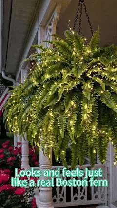 Full artificial Boston Fern