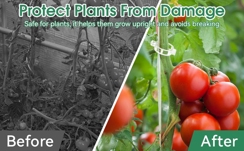 plant clips for climbing plants