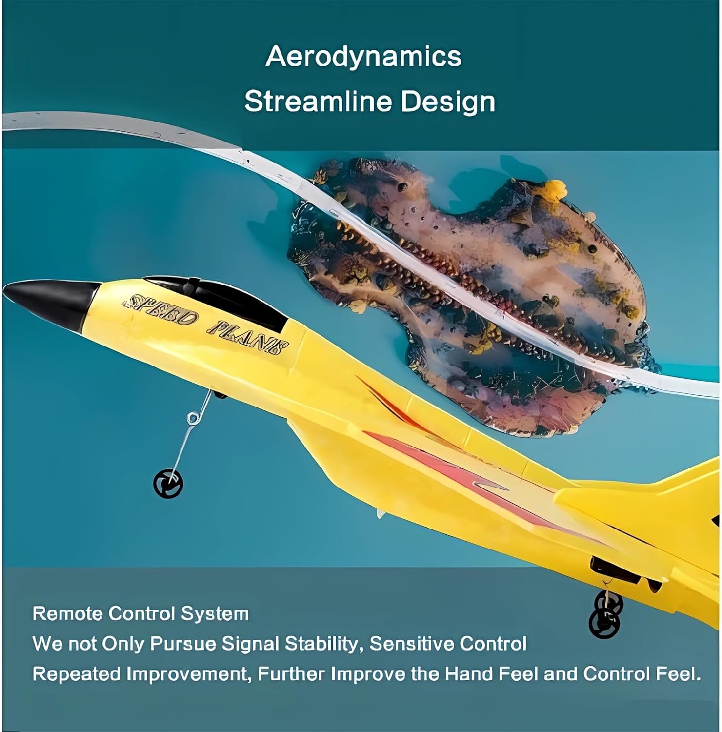 Remote Control Airplane
