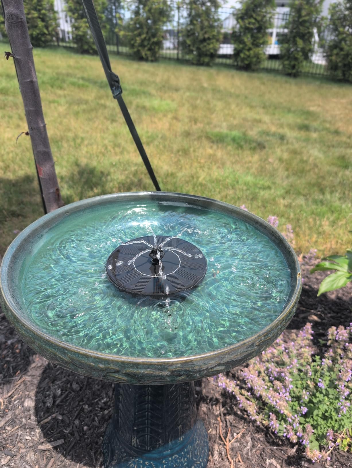 Great, inexpensive fountain!