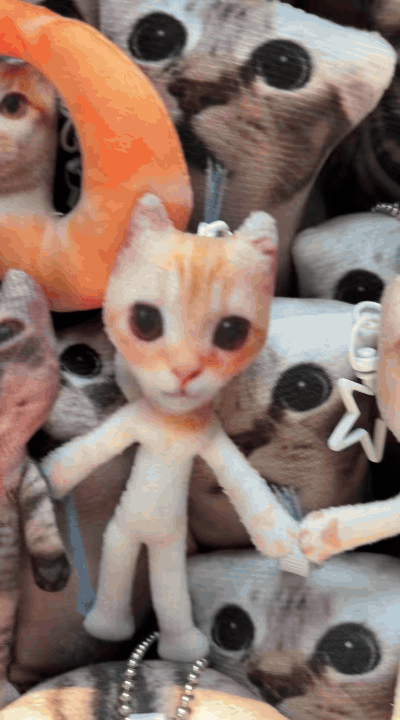 Meme Cat Keychain with Speaker