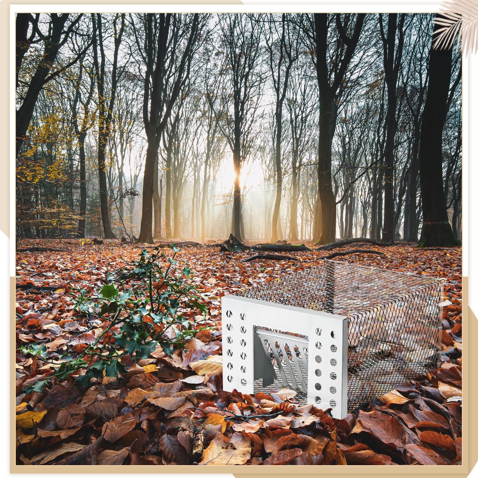 Trap placed in a forest setting on a bed of autumn leaves