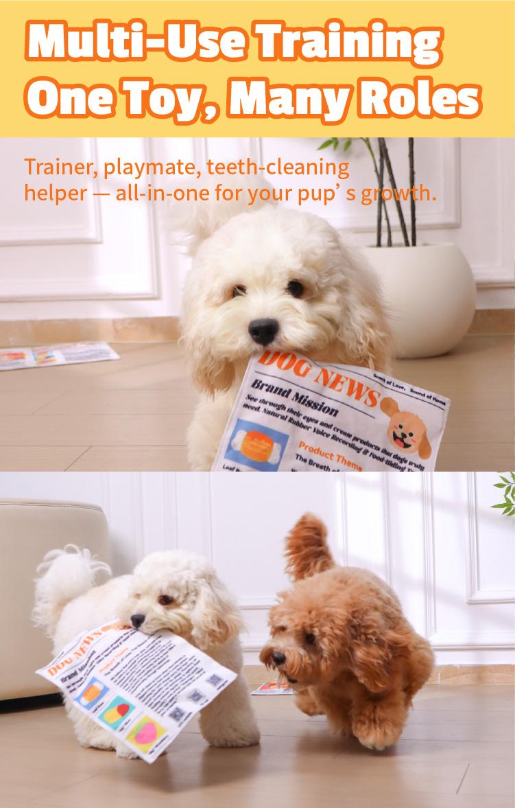 Durable Newspaper Pet Balloon Dog Toy - Crinkle Chew for Boredom Relief, Teeth Cleaning, Interactive Play - Safe, Non-Toxic, Washable, Quick-Dry