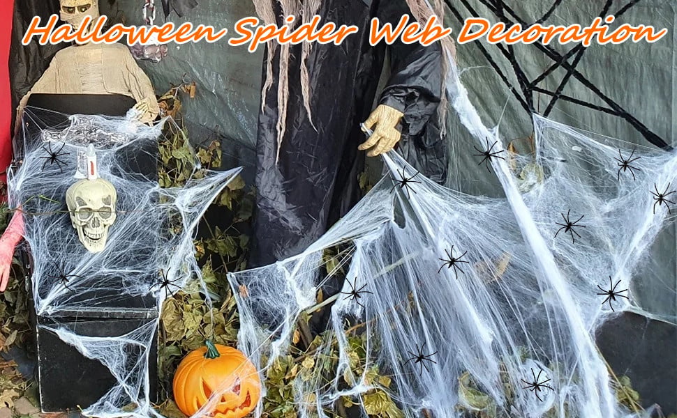 spider webs