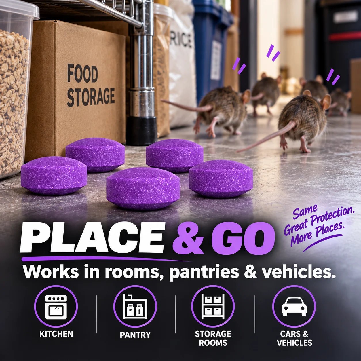 Multi-room and vehicle placement