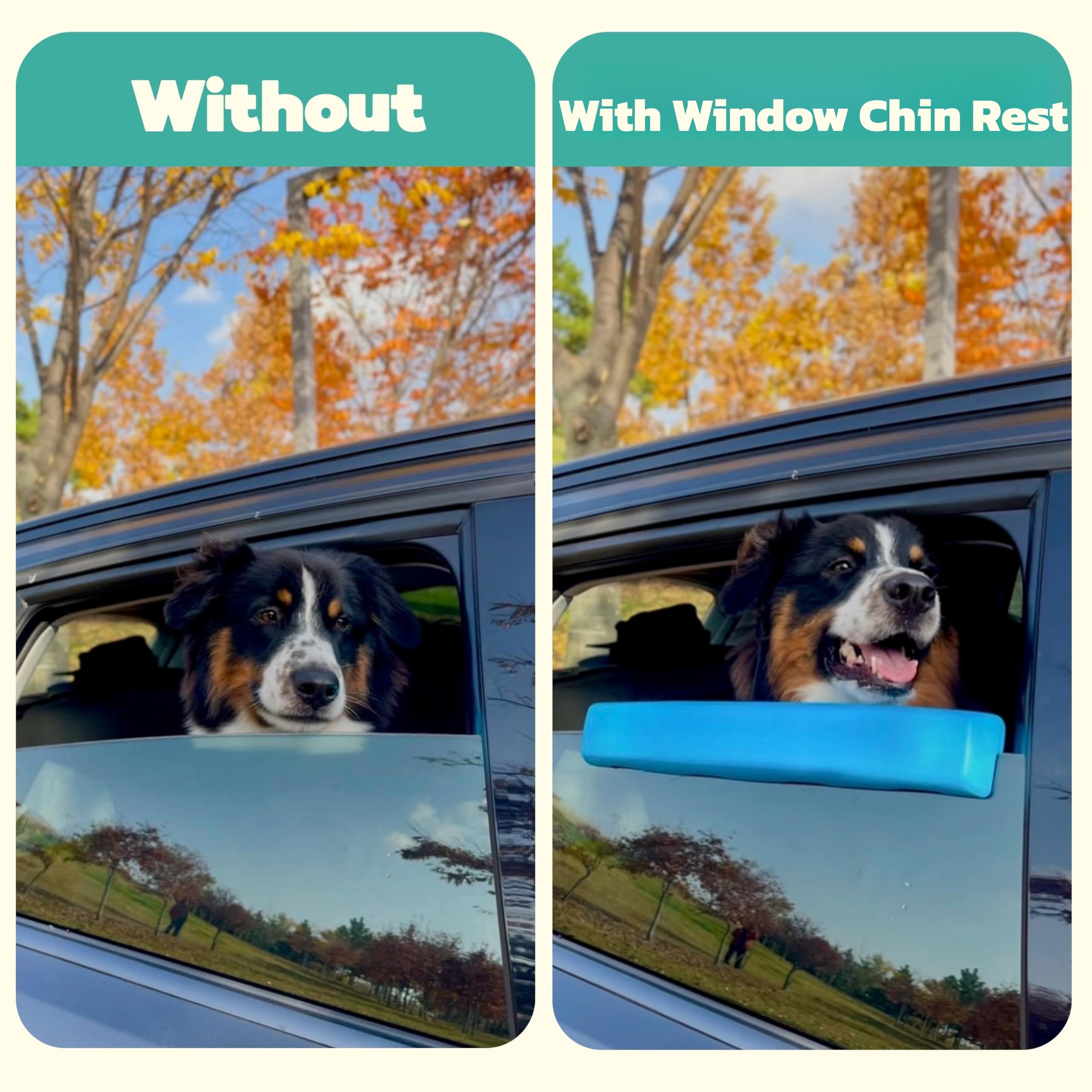 Dog window support cushion