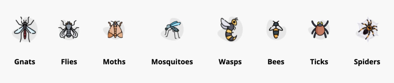 Buzz Repel Pro Lamps Buzz Repel Pro Lamps