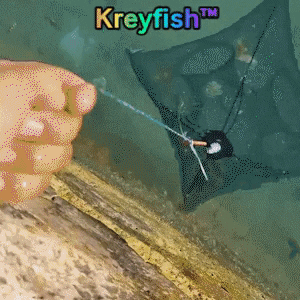 Animated GIF Animated GIF