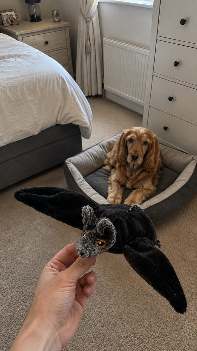 Customer photo review of WildWhisker™ Flying Bat Toy